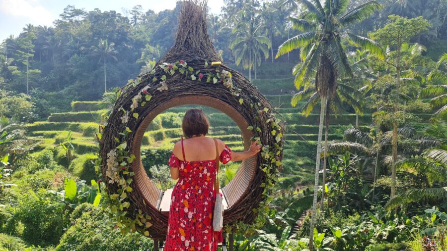 Rizières en terrasses bali