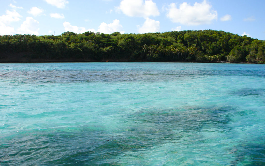 MARTINIQUE WHITE FUND