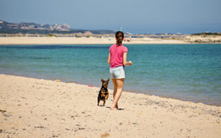 Espagne avec un chien - Meilleur hôtel acceptant les chiens en 