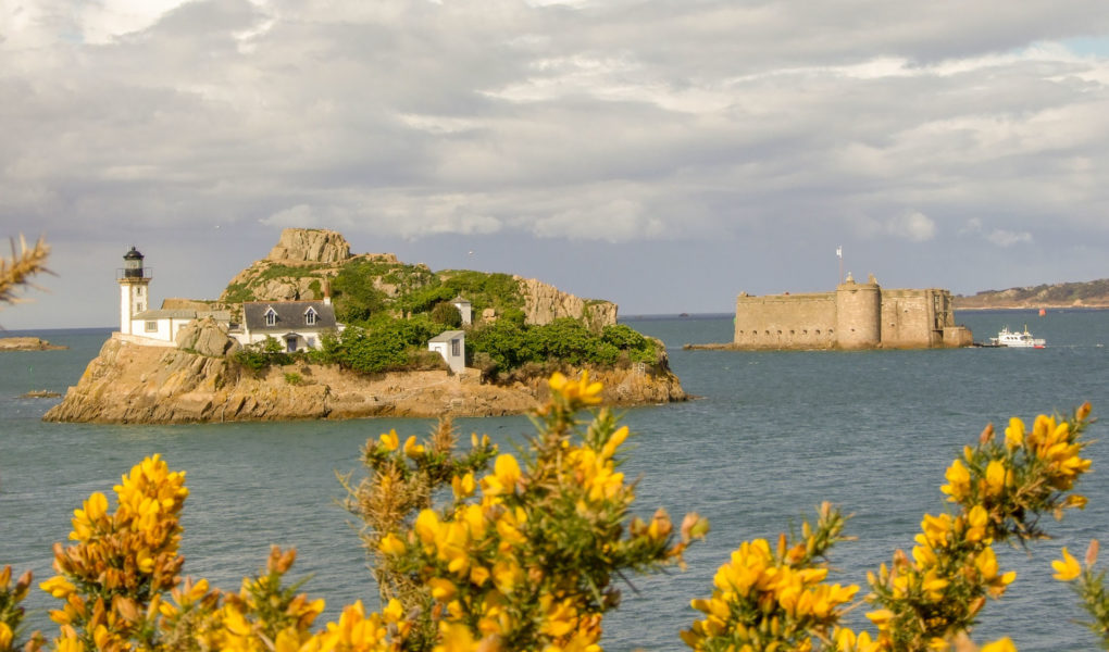 Voyage En Bretagne Meilleur Hôtel Acceptant Les Chiens En