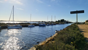 Mon itinéraire canal du midi à vélo arrivée à l'Etang de Thau