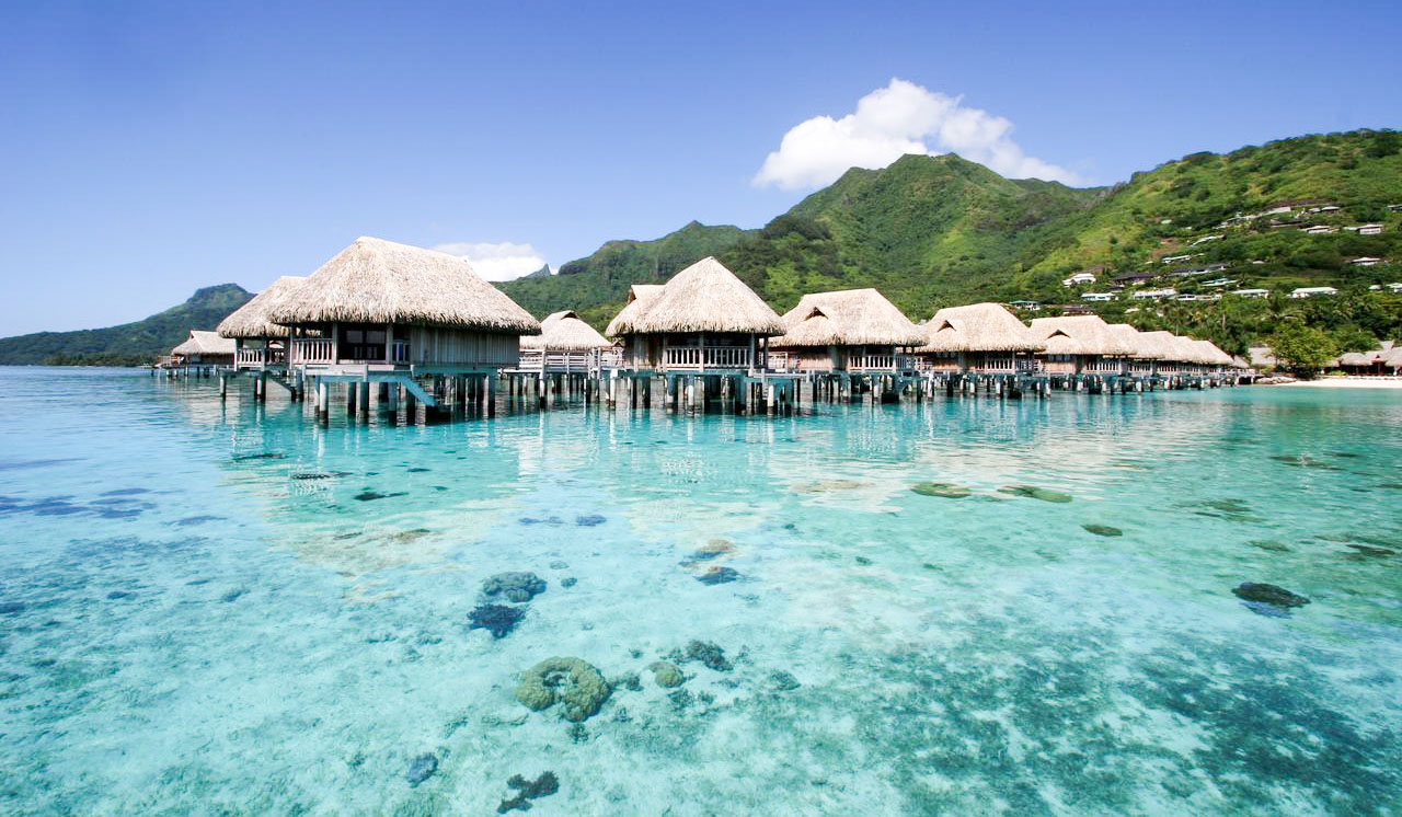 Bedste Moorea hotel til bryllupsrejse