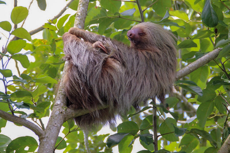 Costa Rica avec guide francophone