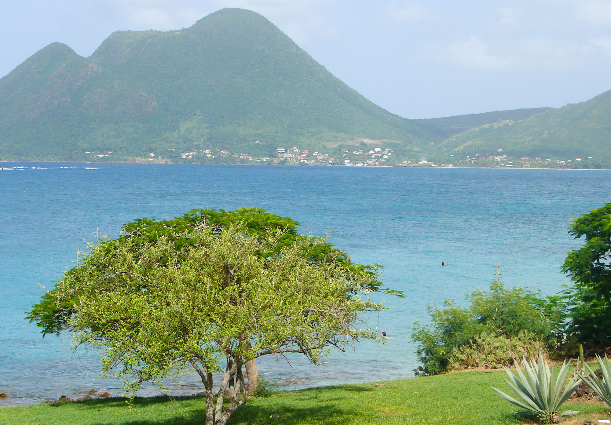Martinique ou Guadeloupe Quelle île choisir aux Antilles