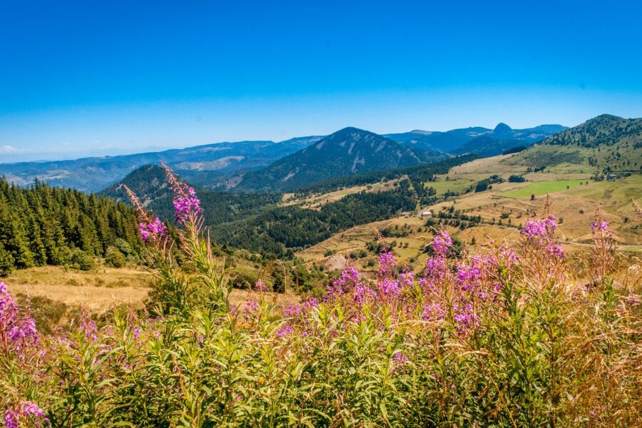 Paysages volcans d'Auvergne