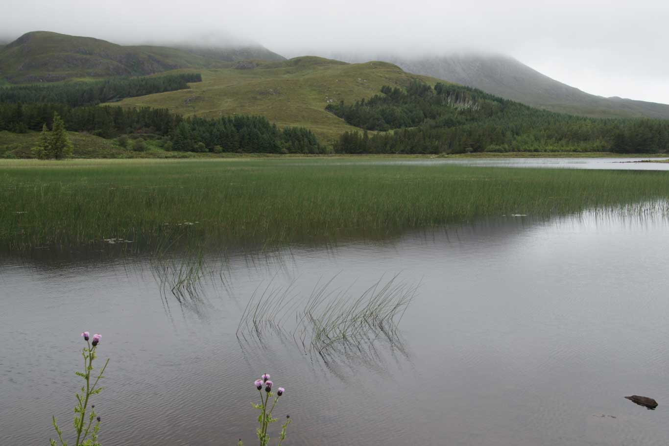 Skyeをglenfinnan Roadとfort William Travel Bagに向けて出発