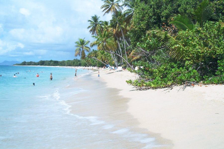 Plage Sainte Anne