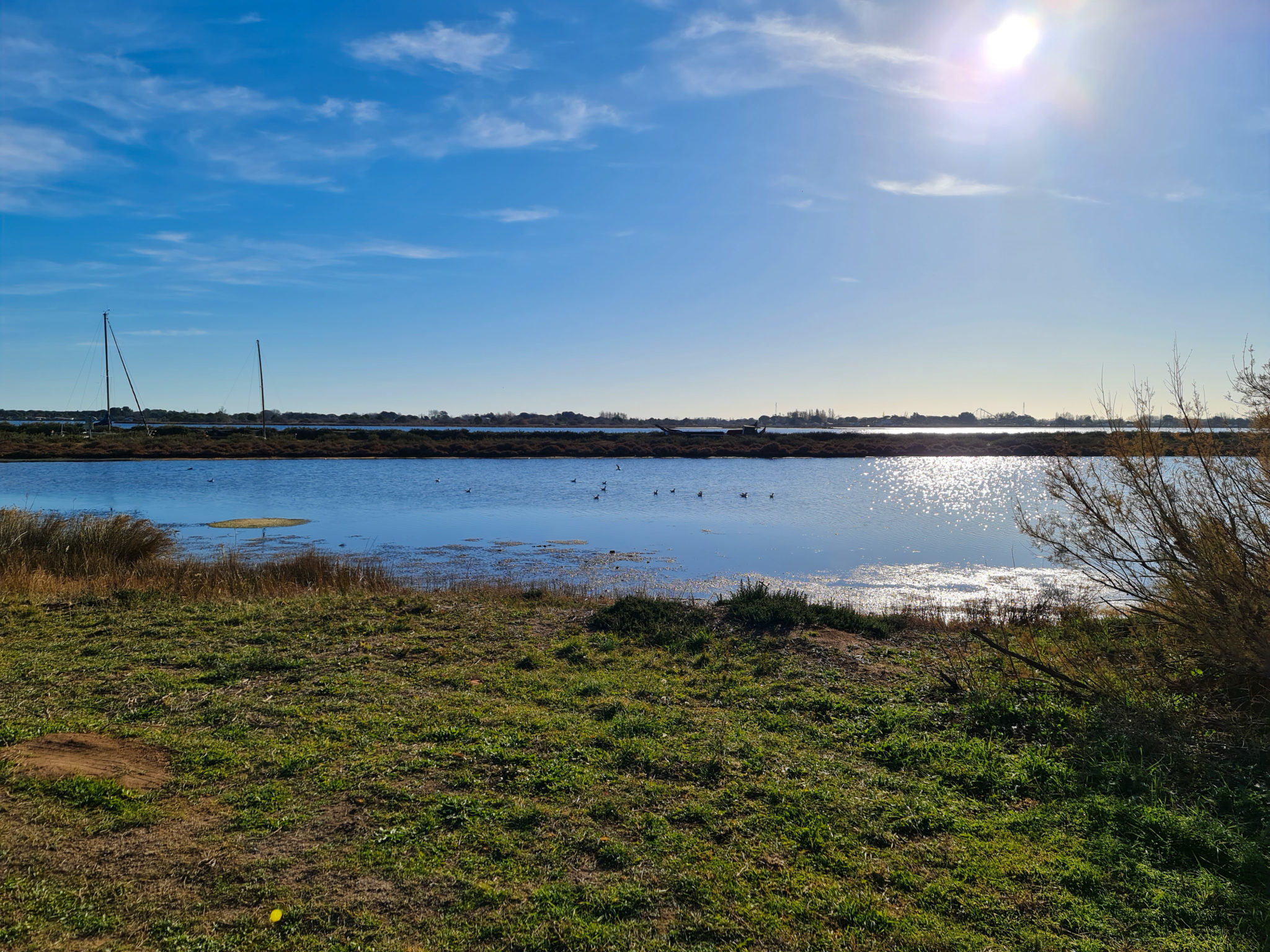 Que voir autour de Marseillan Circuit Etang de Thau et petits villages Que voir autour de Marseillan Circuit Etang de Thau et petits villages