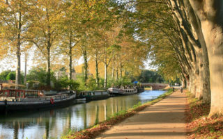 Toulouse avec un chien - Meilleur hôtel acceptant les chiens à Toulouse près d espaces verts